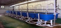 hatchery